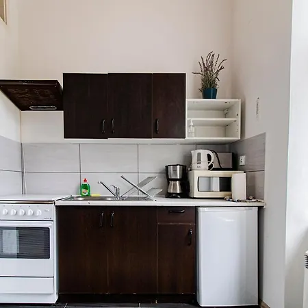 Classic Pilsudskiego Street アパート クラクフ